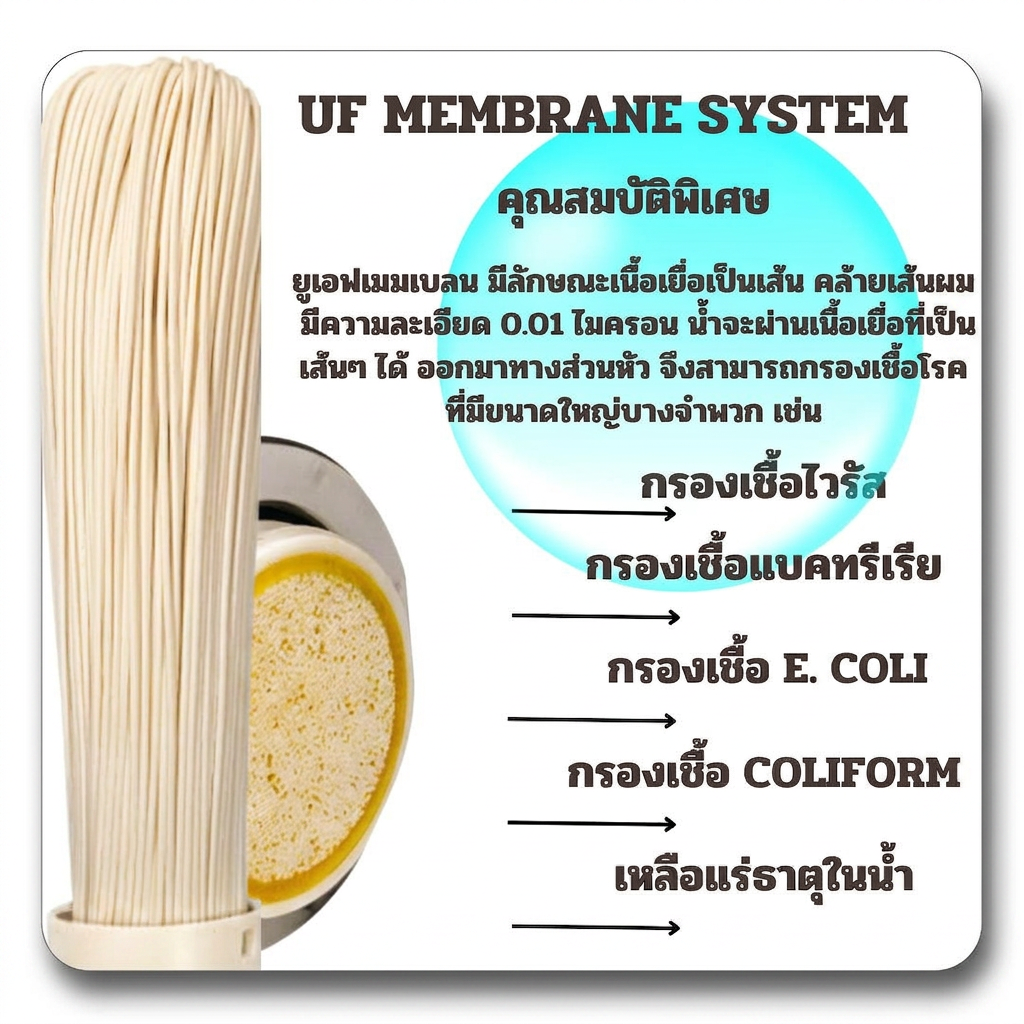 คุณสมบัติ UF